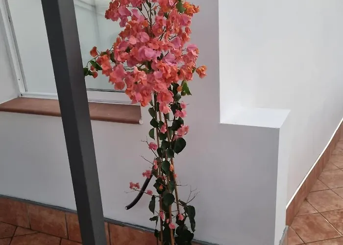Appartement Santiago Del Teide Room *