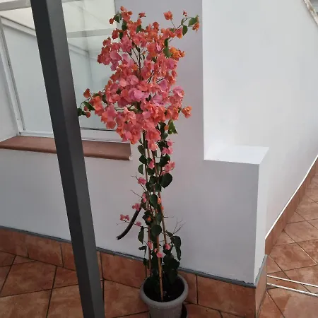 아파트 Santiago Del Teide Room *
